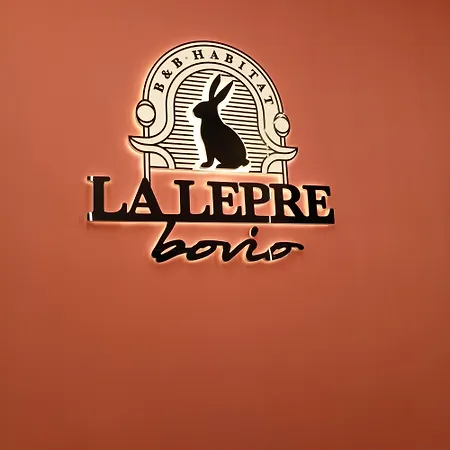 Affittacamere La Lepre Bovio Napoli
